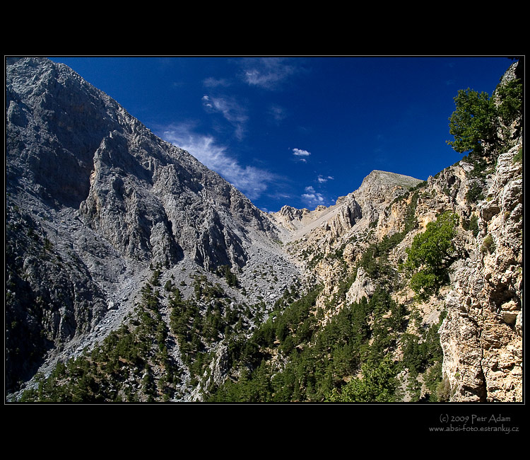 Samaria-4341-PPweb.jpg